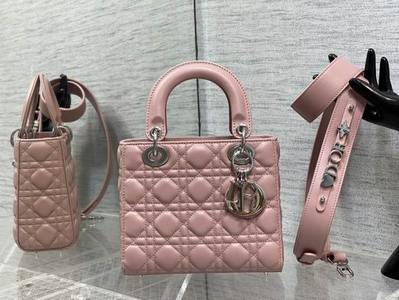 DIOR Handbags 1001